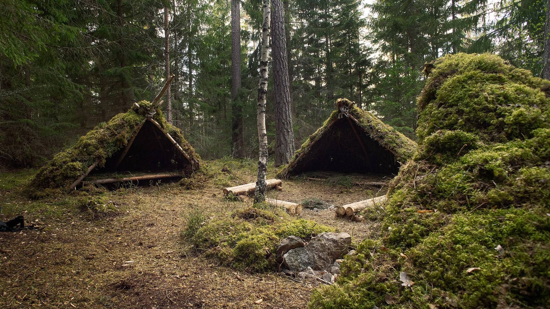 2 Tage Survival Grundlagenkurs