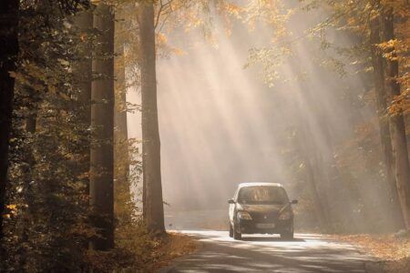 Statisches und dynamisches Verhalten