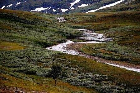 Tundra